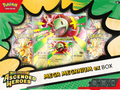 Ascended Heroes Mega Meganium ex Box