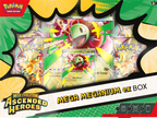 Ascended Heroes Mega Meganium ex Box
