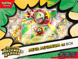 Ascended Heroes Mega Meganium ex Box